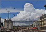 Vor der herrliche Wolke im Hintergrund erreicht die beiden Re 4/4 II 11264 und 11296 mit ihrem  Spaghetti-Zug  Lausanne.