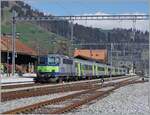 re-4-4-ii/832449/die-bls-re-44-501-ex Die BLS Re 4/4 501 (ex SBB Re 4/4 II) wartet mit ihrem RE in Zweisimmen auf die Rückfahrt nach Interlaken Ost. Der Zug besteht aus EW III (es Swiss-Express Wagen). Auf dem Fahrplanwechsel im Dez 2021 verlor Lok und Zug die Leistung an Triebwagenzüge resp. ab 2022 z.T. an die GoldenPass Express Züge.

14.April 2021