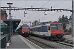 Re 460/603201/auf-den-ersten-blick-ein-banales Auf den ersten Blick ein banales Bild: Ein Schnellzug und ein Regionalzug in Arth Goldau. Doch ein zweiter, genauerer Blick lohnt sich: links wartet die Re 460 006-0 mit dem IR 2324 Erstfeld - Basel auf den Anschluss aus dem Süden und rechts macht der VAE 2579 einen kurzen Halt, ein VAE bei welchem sich ein SOB Triebwagen und der OeBB RABe 207 (UIC 94 85 7560 000-2 ch.oebb) die Traktion teilen. Übrigens, auch die SBB Re 460 006-0 kann mit einer Besonderheit aufwarten: auf der Seite der Lok steht aufgemalt und dann übermalt, dass die Lok seit 1992 5'000'000 Kilometer zurückgelegt hat.
24. Feb. 2018 