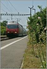 Re 460/647717/die-sbb-re-460-040-9-faehrt Die SBB Re 460 040-9 fährt mit einem IC nach St.Gallen in Lonay-Préveranges durch. 
15. Juli 2013
