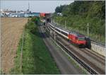 Re 460/714299/die-nbs-schnellfahrtstrecke-mattstetten---rothrist Die NBS (Schnellfahrtstrecke Mattstetten - Rothrist)  bei Langental mit von Re 460 geführen schnell durchfahrenden Zügen. 

10. Aug. 2020