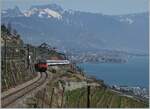 Umleitungsverkehr via die  Train de Vignes -Strecke und Palézieux statt dem See entlang. Die ist für die Reisenden mit einem Zeitverlust verbunden, beschert aber herrliche Ausblicke Eine SBB Re 460 ist oberhalb von St-Saphorin mit einem IR 90 auf dem Weg in Richtung Lausanne.

20. März 2022