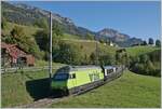 Die BLS Re 465 014 (UIC 91 85 4465 014-9) ist kurz nach der Haltestelle Enge im Simmental, welche der Zug ohne Halt passiert hat, mit dem GoldenPass Express GPX 4064 von Montreux nach Interlaken Ost