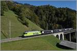 Die BLS Re 465 014 ist mit dem GoldenPass Express 4065 auf der Fahrt von Interlaken nach Zweisimmen, wo der Zug dann umgespurt nach Montreux weiter fahren wird. Das Bild zeigt den Zug auf der Bunschenbach Brücke bei Weissenburg. 7. Oktober 2023