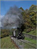 b-c-blonay-chamby/863699/kraeftig-dampfend-faehrt-die-leb-g Kräftig dampfend fährt die LEB G 3/3 N° 5 der Blonay Chamby Bahn bei Chaulin in Richtung Chamby. 

28. Okt. 2023 