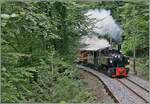b-c-blonay-chamby/897386/les-chemin-de-fer-disparus-- Les chemin de fer disparus - Die verschwundenen Bahnen (Zell - Todtnau 1889 1967) - Die SEG G 2x 2/2 105 der Blonay - Chamby Bahn ist mit ihrem Personenzug 10557 von Blonay nach Chaulin kurz vor dem Baye da Clarens Viadukt angekommen. 

13. Sept. 2025