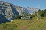 Bahnen der Jungfrau Region/304106/ein-wab-zug-zwischen-der-wengenrer Ein WAB Zug zwischen der Wengenrer Alp und der Kleinen Scheidegg. 
21. Aug. 2013