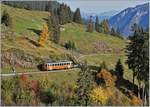 Bahnen der Jungfrau Region/678997/in-der-herbstlichen-landschaft-zwischen-gruetschalp In der herbstlichen Landschaft zwischen Grütschalp und Winteregg zeigt sich dieser BLM Regionalzug. 

16. Okt. 2018 
