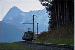 Bahnen der Jungfrau Region/678998/vor-dem-eiger-im-hintergrund-faehrt Vor dem Eiger im Hintergrund fährt, bereits im Schatten, dieser BLM Zug Richtung Mürren.

16 Okt. 2018