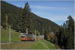 Bahnen der Jungfrau Region/684159/ein-blm-regionalzug-bei-winteregg-16 Ein BLM Regionalzug bei Winteregg. 

16. Okt. 2018