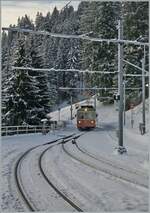 Bahnen der Jungfrau Region/836873/der-blm-be-44-31-ex Der BLM Be 4/4 31 (ex Bipperlisi) wird in Grütschalp bereitgestellt.

16. Jan. 2024