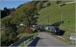 BLS AG/863670/der-goldenpass-express-ist-bei-enge Der GoldenPass Express ist bei Enge im Simmental auf dem Weg nach Montreux. Die führendne BLS Re465 ist nur schwach hinter dem Baum zu erkennnen.

7. Okt. 2023