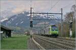 Mit der BLS Re 485 014 an der Spitze erreicht ein Transitgüterzug in Richtung Norden den Bahnhof von Mülenen.
