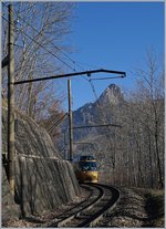 Ein MOB Panoramic Express hat Les Avants verlassen und erreicht nun das Waldstück unterhalb von Les Avant; ein kurzer Streckenabschnitt der noch mit den alten Holzmasten ausgerüstet ist.