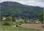 mob-goldenpass/583851/der-cev-mvr-be-26-7003 Der CEV MVR Be 2/6 7003 'Blonay' bei Château d'Hauteville.
16. Mai 2016