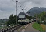 mob-goldenpass/670650/der-mob-alpina-be-44-9201 Der MOB Alpina Be 4/4 9201 bzw. ABe 4/4 9301 mit einem Regionalzug auf der Fahrt von Montreux nach Zweisimmen bei Châtelard VD. 

19. August 201