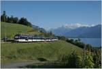 Ein MOB Alpina Zug auf dem  Weg nach Zweisimmen kurz vor Planchamp.

27. Mai 2020