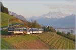 Im letzten Sonnenlicht fährt die MOB GDe 4/4 6004  Interlaken  mit ihrem Panoramic Express bei Planchamp in Richtung Zweisimmen. 

11.04.2020