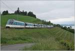 Ein MOB Panoramic Express in den Weinbergen oberhalb von Montreux bei Planchamp. 

14. Mai 2020