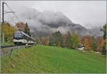 Ein MOB  Alpina  Zug hat Les Avants verlassen und fährt nun in Richtung Monterux. 

28. Okt. 2020
