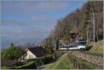 Mit dem Steuerwagen Ast 152 an der Spitze ist ein MOB Regional-Zug bei Chernex auf dem Weg von Montreux nach Zweisimmen.