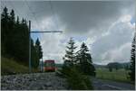 Schon fast ein Landschafts Bild: Bei La Cure im Jura an der Schweiz/Französichen Grenze ist ein NStCM Regionalzug auf dem Weg nach Nyon und fährt durch die hochgelegene Jura-Landschaft 

28. Aug. 2013