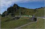 Der TPC BVB BDeh 4/4 83 verlässt mit seinem Zug die Gipfelstation Col-de -Bretaye.