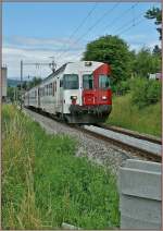 TPF Regionalzug bei Murten.
26. Juni 2011