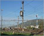 Rangierbahnhof Biel mit Semaphor Signalen (die letzten im Regel-Einsatz in der Schweiz) und dem hier z.Z.