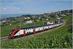 Die beiden SBB Twindexx RABe 502 212-9 und RABDe 502 010-3 (Ville de Genève) sind bei Bossière als IC 713 unterwegs. Der Zug startete in Genève Aéroport und sein Ziel wird St. Gallen sein.

14. Juli 2020