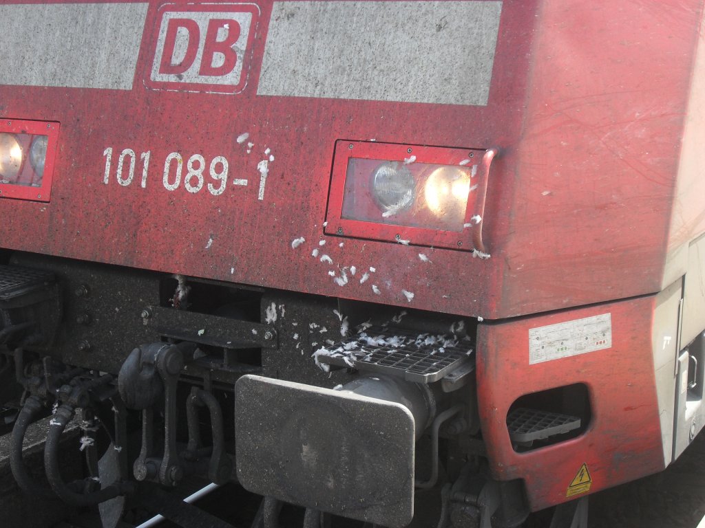 Die �berreste eines Vogels auf der 101 089-1.Man sieht wenn man genauer hinschaut noch den Kopf des Vogels.