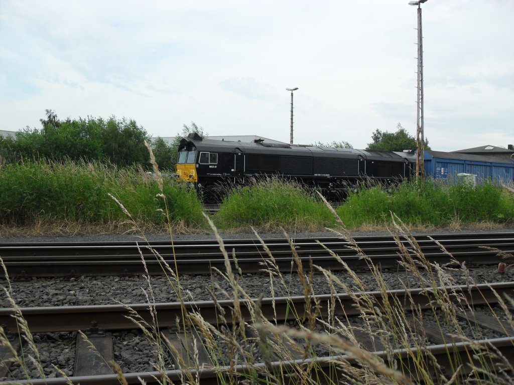 Eine Schwarze Class 66 in Br�hl Vochem am 19.6.10