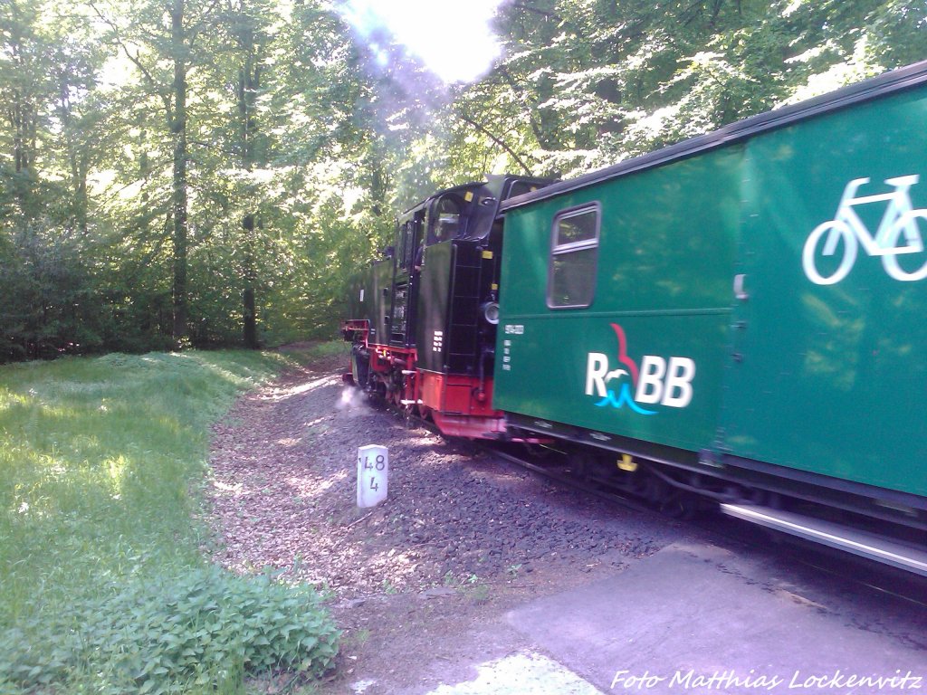 RBB 99 1781 beim Verlassen des Haltepunkts Jagdschloss am 30.5.13