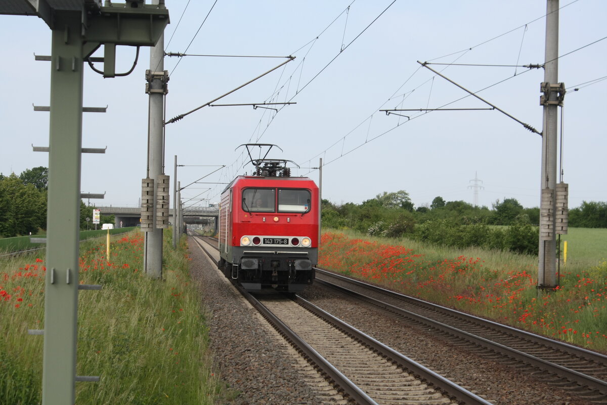 143 175 von Salzland Rail Service bei der Durchfahrt in Zberitz am 9.6.21