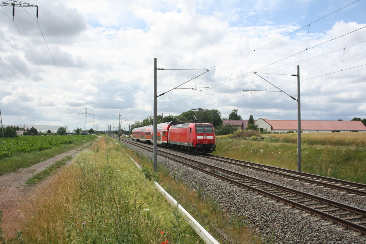 146 008 mit dem RE30 mit Ziel Halle/Saale Hbf unterwegs zwischen Niemberg und zberitz am 5.7.21