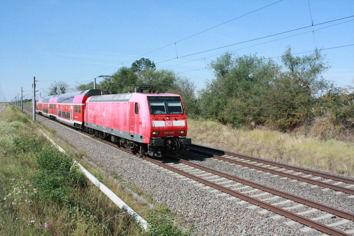 146 026 mit dem RE30 mit ziel Magdeburg Hbf zwischen Zberitz und Niemberg am 30.7.20