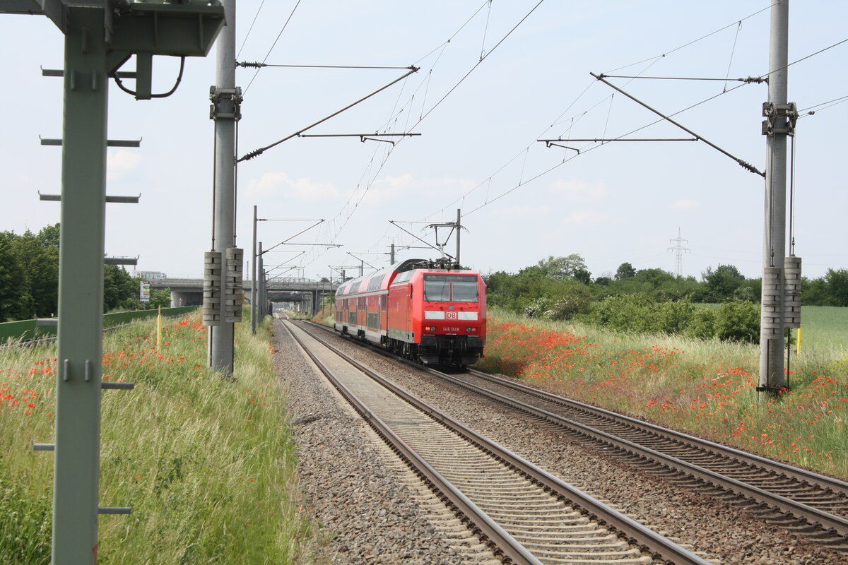 146 028 verlsst als RE30 mit ziel Halle/Saale Hbf den Bahnhof Zberitz am 9.6.21