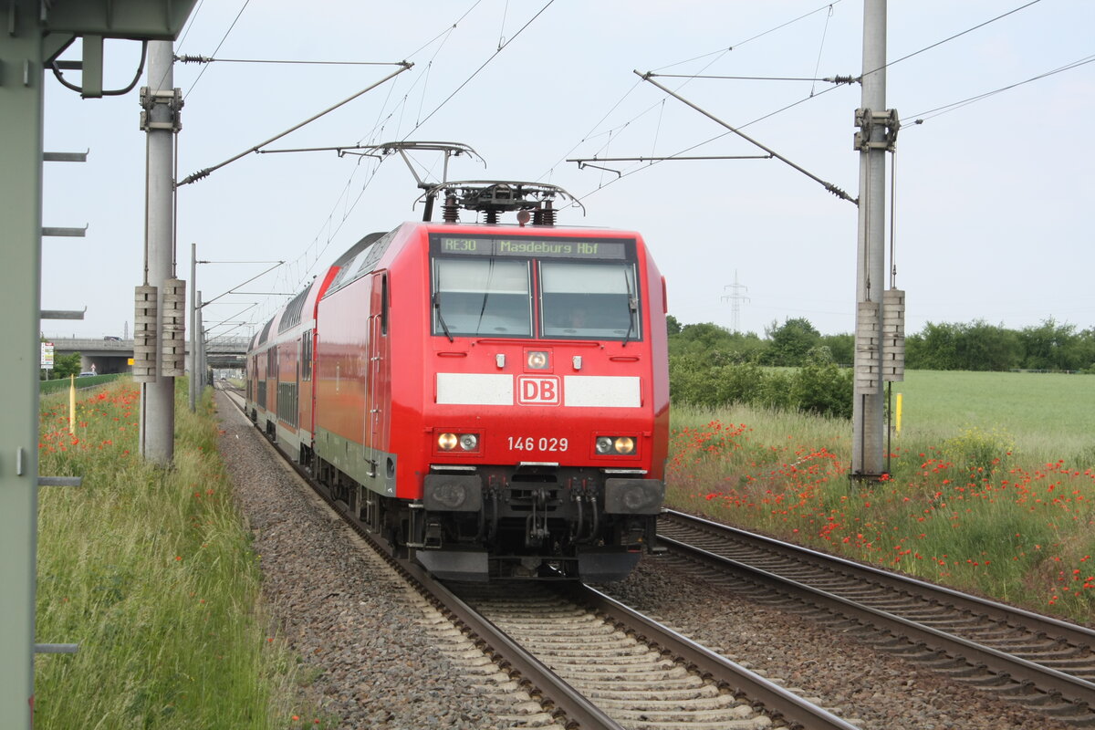 146 029 mit dem RE30 mit ziel Magdeburg Hbf bei der Einfahrt in Zberitz am 9.6.21