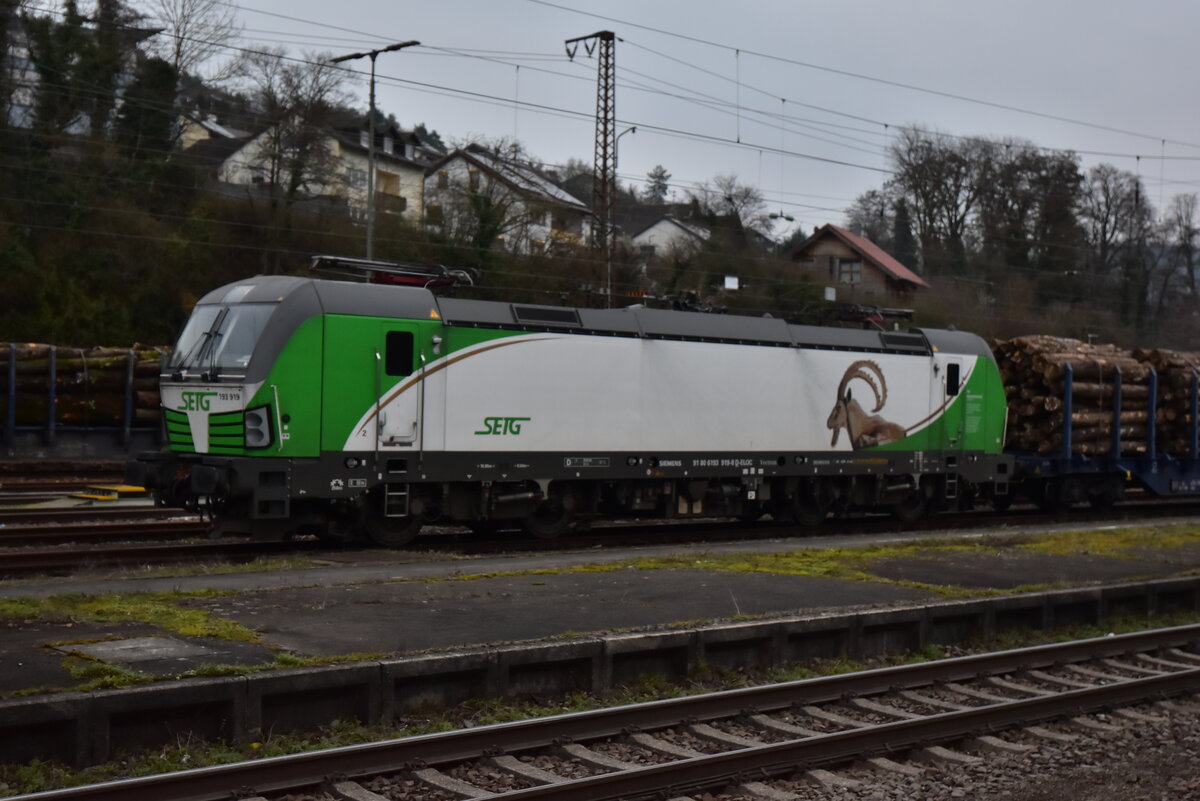 193 919 der SETG an der Holzverladung am 4.12.2025 in Neckarelz. 