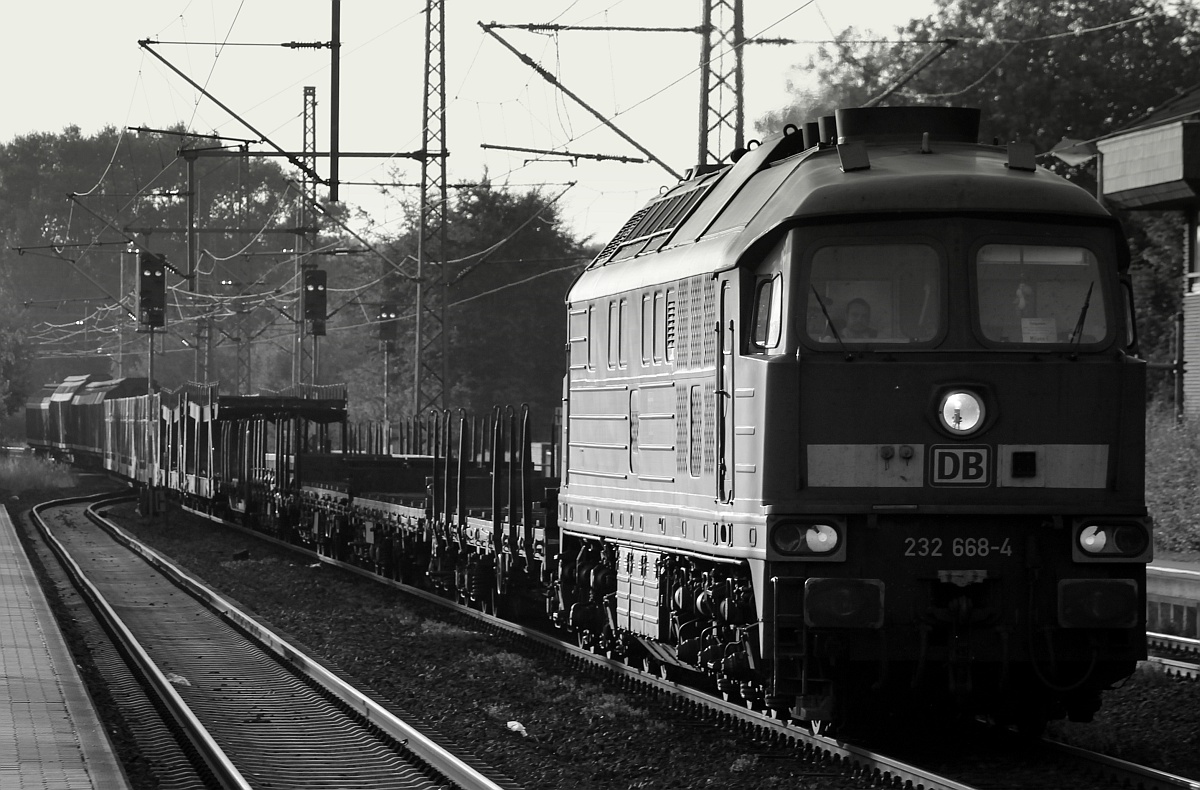 232 668-4 mit dem GD 47417 w�hrend der Durchfahrt in Schleswig am 28.07.2014.