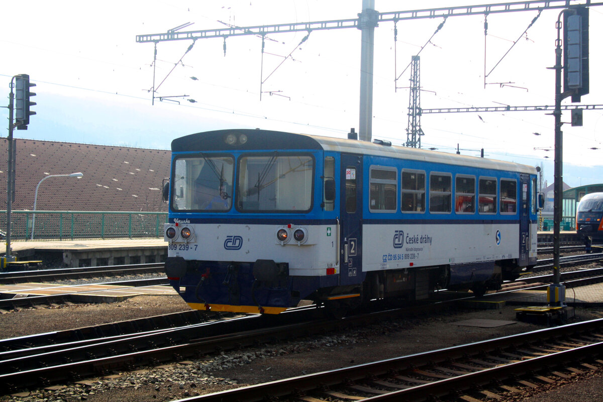 809 239 von Ceske Drahy bei der bereitstellung im Bahnhof Decin hl.n. am 13.3.24