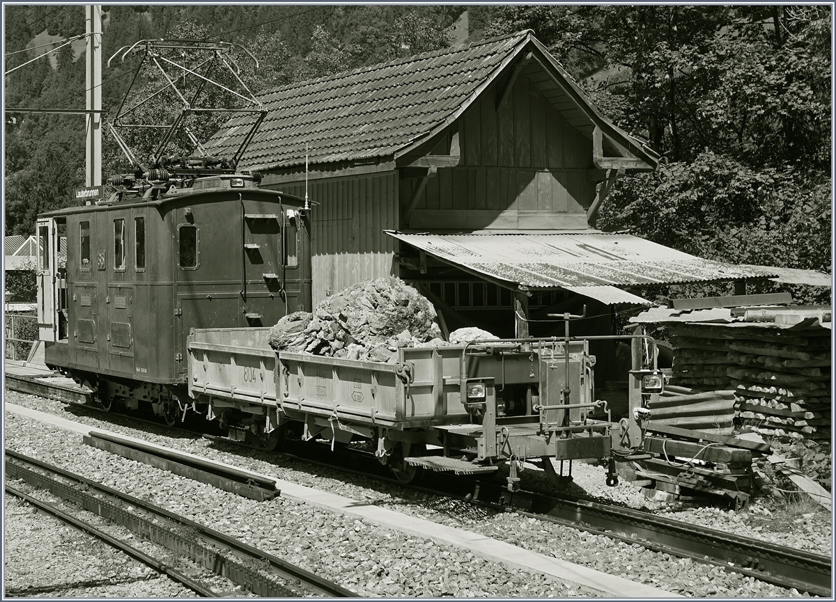 Bei der Ankunft in Lauterbrunnen konnte ich diesen Bauzug mit einer WAB He 2/2 fotografieren.
8. August 2016