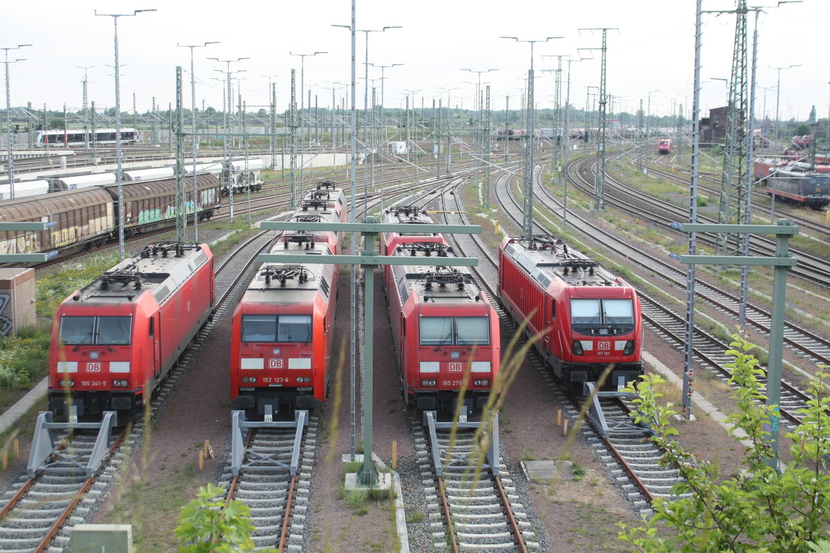 Blick auf E-Loks der Baureihen 185, 152 und 187 in Halle/Saale am 9.6.21