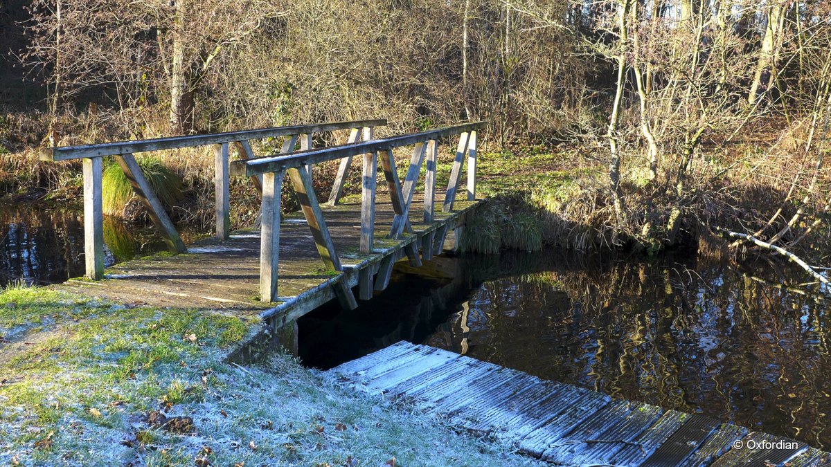Brücke am Hardausee bei Hösseringen, Niedersachsen.