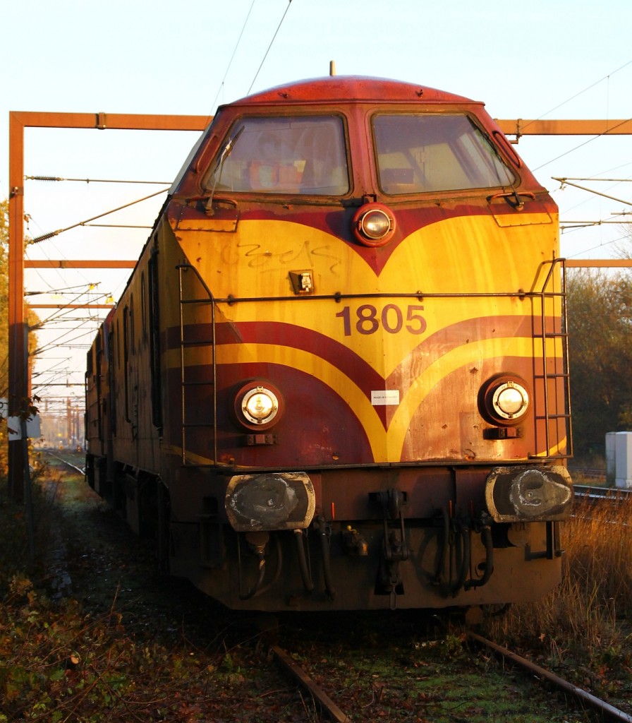 CFL Cargo 1805 und MX 1023 werden hier in den Gbf Bereich in Padborg rangiert(legaler Standort). 08.11.2013