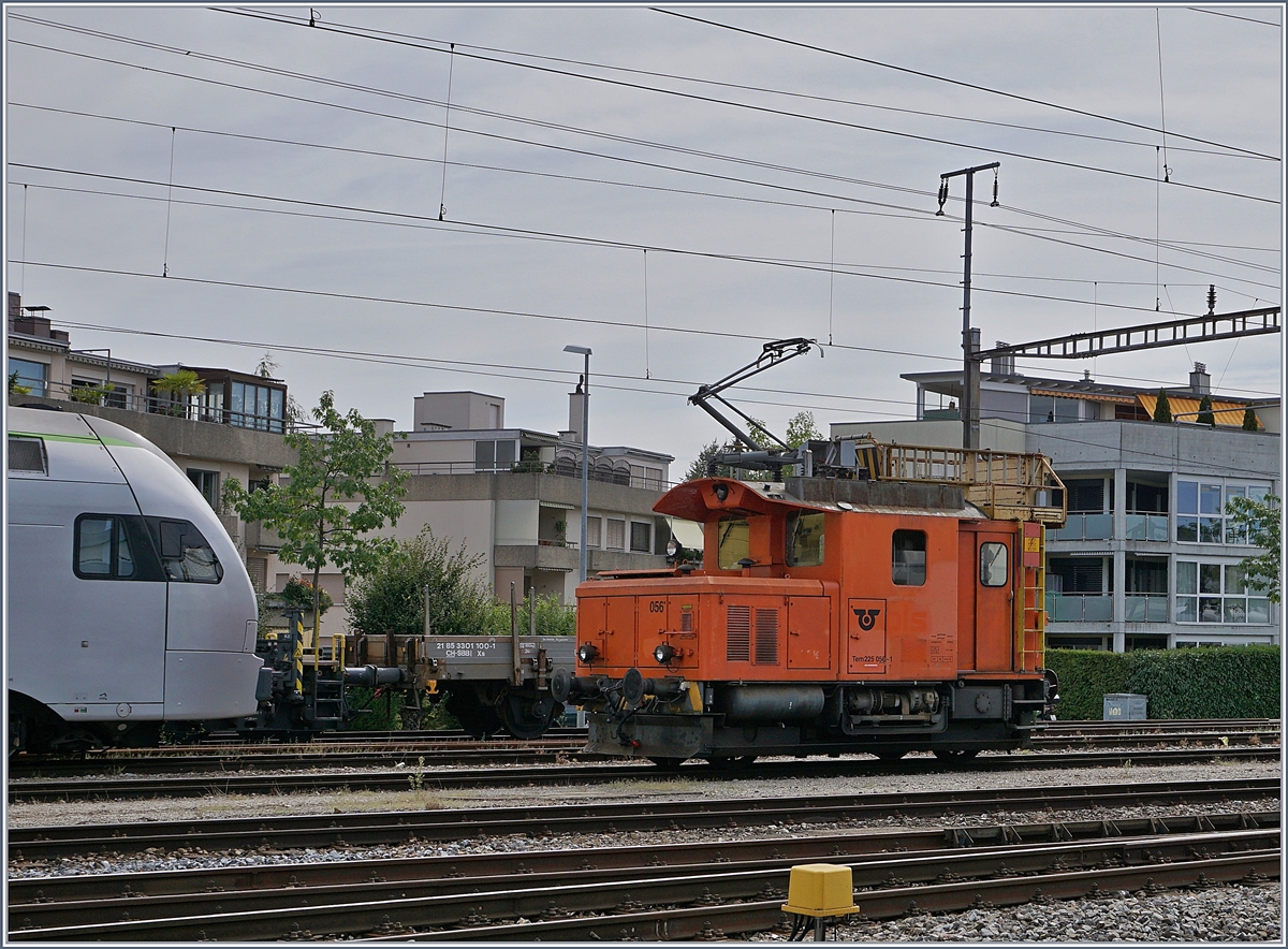 Dampftag Lyss 2018: Der Dampfbahn Bern (DBB) reiste nicht nur mit den beiden Dampfloks Eb 3/5 und Ed 3/4 an, sondern durch die Trockenheit bedingt, auch mit dem EBT Te 155 und dem hier zu sehenden Tem 225 056-1. 
11. August 2018