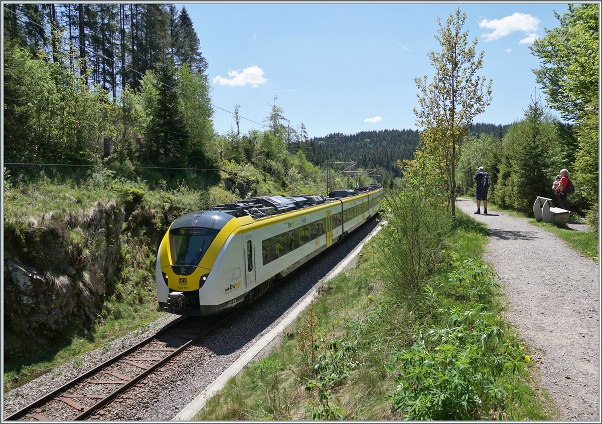 Der DB 1440 483 ist kurz nach Aha auf dem Weg nach Tittisee (Dreiseenbahn). 

18. Mai 2022