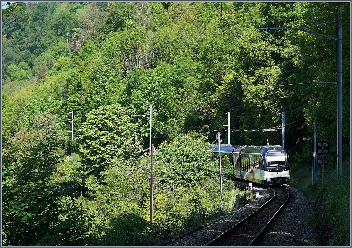 Der MVR MOB ABeh 2/6 7504  VEVEY  verschwindet bei Sonzier auf dem Weg nach Montreux im Wald. 

7. Mai 2020