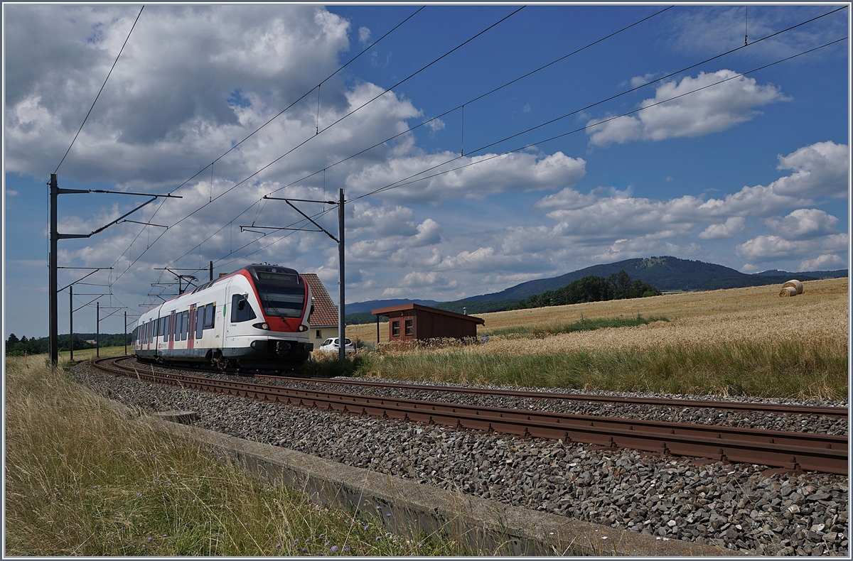 Der SBB RABe 523 021  La Veveyse , unterwegs als RER Vaud von Vallorbe nach Villeneuve kurz vor Arnex.

14. Juli 2020