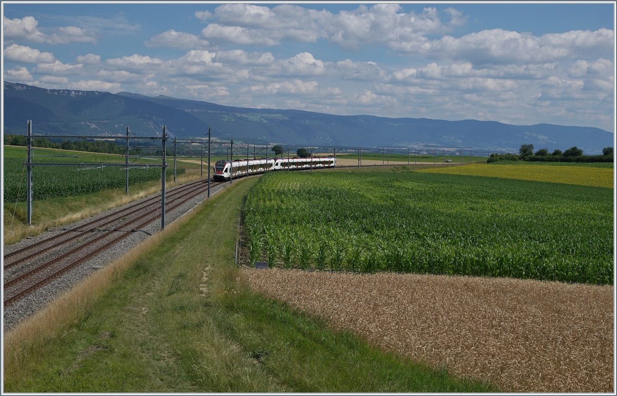 Die beiden SBB RABe 523 027 und 059, unterwegs als RER Vaud von Villeneuve nach Vallorbe verlassen den grossen 180° Bogen bei Arnex. 

14. Juli 2020
